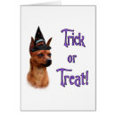 Pesquisar por pinscher Animais