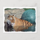 Pesquisar por estilizado convites Azul