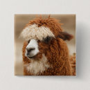 Pesquisar por alpaca botons Animais