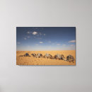 Pesquisar por do camelo impressão de canvas Pôr do sol