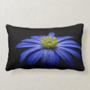 Pesquisar por flor azul gerbera casa presentes Margarida