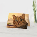 Pesquisar por merchbooth cartoes Cat