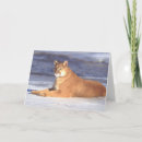 Pesquisar por pumas cartoes Mountain lion