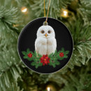 Pesquisar por coruja branca ornamentos Coruja de natal