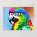 Pesquisar por penas coloridas cartoes postais Animal