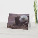 Pesquisar por vulcão cartoes Hawaii