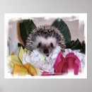 Pesquisar por ouriço pôsteres pósteres Hedgie