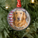 Pesquisar por morte animais estimação acessórios Para pets