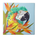 Pesquisar por papagaio tropical azulejos Flores