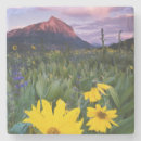 Pesquisar por gallery copos bares Colorado