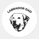 Pesquisar por labrador adesivos Laboratório