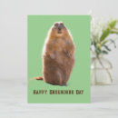 Pesquisar por primavera feliz cartoes Marmota