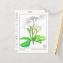 Pesquisar por cravo cartoes postais Qualquer pessoa