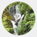Pesquisar por cachoeira adesivos Árvores