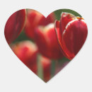 Pesquisar por tulipas vermelhas adesivos Vermelho