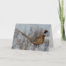 Pesquisar por ring cartoes Qualquer pessoa