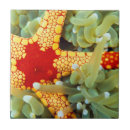 Pesquisar por estrela mar azulejos Peixe