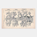 Pesquisar por darwin adesivos História