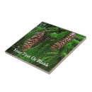Pesquisar por agulhas azulejos Verde