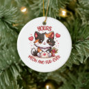 Pesquisar por calico ornamentos Fofo