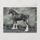 Pesquisar por cavalo clydesdale cartoes postais Cavalo de rascunho