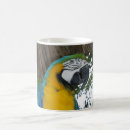 Pesquisar por papagaio azul canecas Tropical