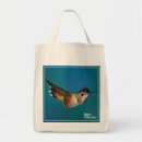 Pesquisar por colibri bolsas Ornitologia