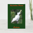 Pesquisar por cockatoo cartoes Animal