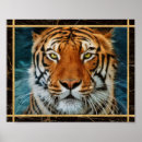 Pesquisar por leopardo azul pôsteres pósteres Qualquer pessoa