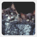 Pesquisar por recipientes adesivos Horizontal