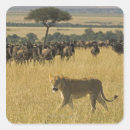 Pesquisar por quênia adesivos Vida selvagem