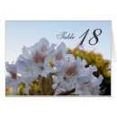 Pesquisar por azáleas brancas cartoes postais Branco