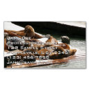 Pesquisar por leão selvagem cartao de visita Natureza