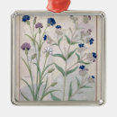 Pesquisar por erval ornamentos Testard