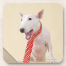 Pesquisar por bull terrier porta copos Humor