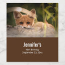 Pesquisar por pele armazenamento alimentos Floresta