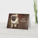 Pesquisar por pug bonito cartoes Adorável