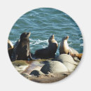 Pesquisar por foto do leão imas Natureza