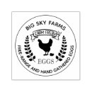 Pesquisar por ovos galinha carimbos Fazenda