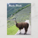 Pesquisar por inca cartoes postais Peru