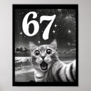 Pesquisar por gato memes pôsteres pósteres Atualizar