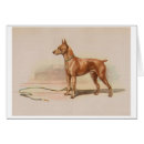 Pesquisar por miniature pinscher cartoes Animais