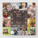 Pesquisar por dogs relogios de parede Para pets