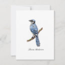Pesquisar por bluejay Jay azul