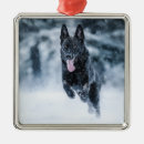 Pesquisar por lobo preto ornamentos Animal