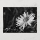 Pesquisar por flor branca preta cartoes postais Branco