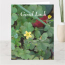 Pesquisar por para boa sorte cartoes Amigo (a)