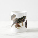 Pesquisar por tadpole Metamorfose