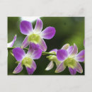 Pesquisar por orquídeas cartoes postais Qualquer pessoa