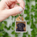 Pesquisar por labrador preto chaveiros Cão